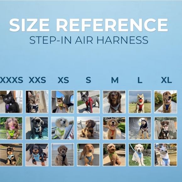 Voyager Dog Harness - Picture 6 of 6